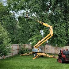 Best Commercial Tree Services  in Yorklyn, PA